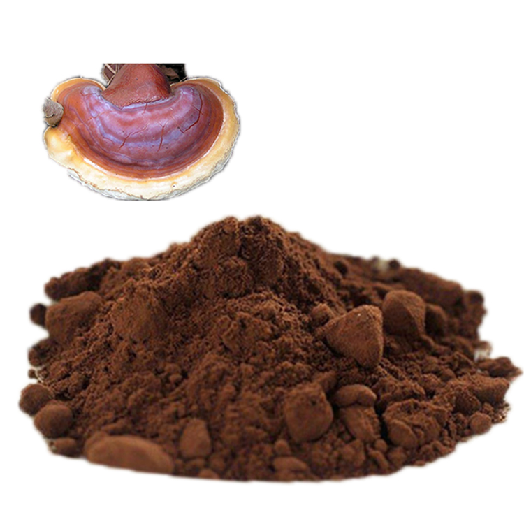 Smooth Texture Red Reishi Powder: Ideal for Capsules and Smoothies